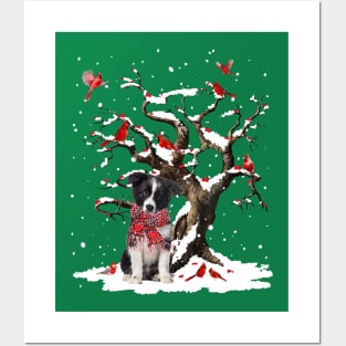 Border Collie Scarf Cardinal Snow Christmas Posters and Art